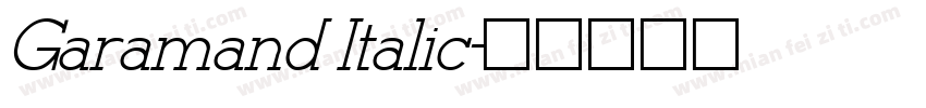 Garamand Italic字体转换